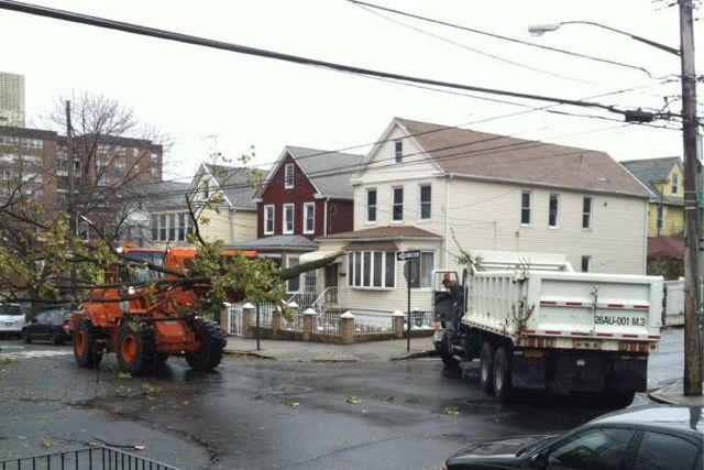 Sanitation crews work to remove a downed tree in Queens